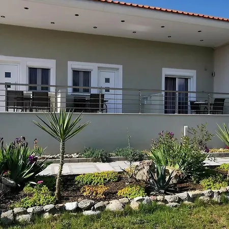 Tzekos ستافروس