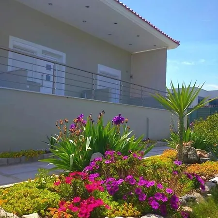 Tzekos * 스타브로스