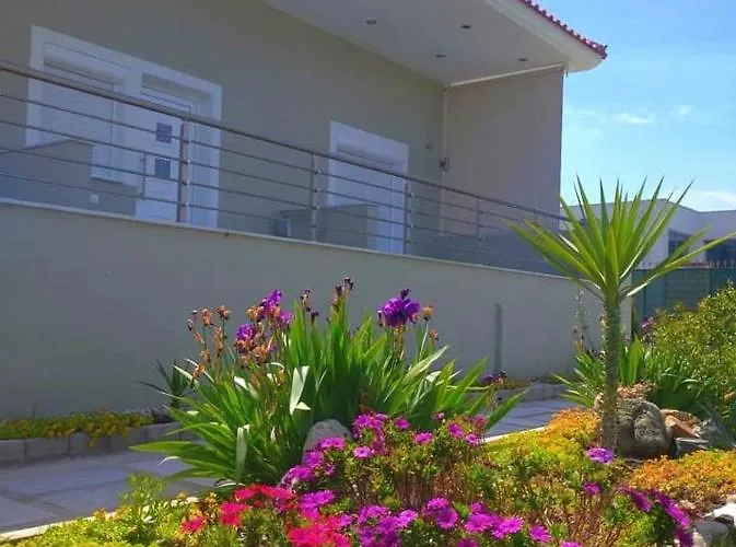 Tzekos * 斯塔夫罗斯