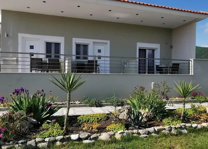 Tzekos 斯塔夫罗斯