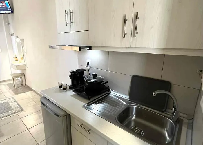 公寓 Tzekos 斯塔夫罗斯