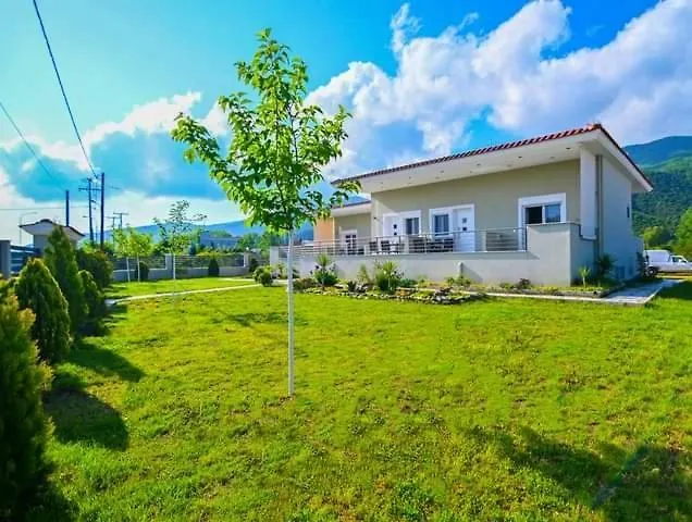 Tzekos Apartament